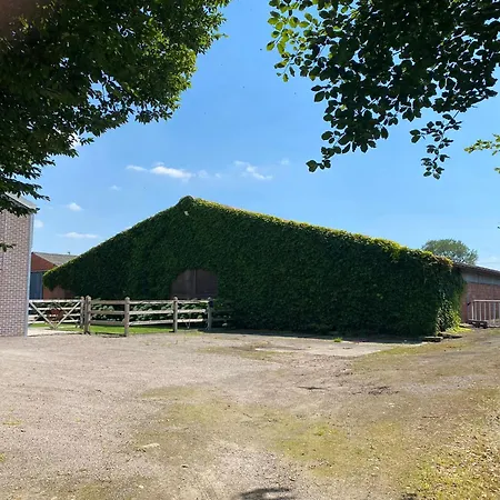 Bed & Breakfast De Vlierbeek *