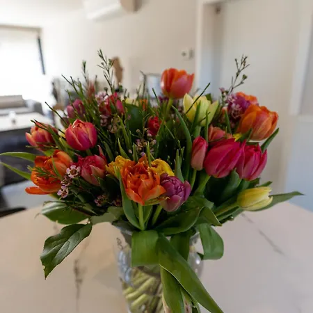 Bed & Breakfast De Vlierbeek